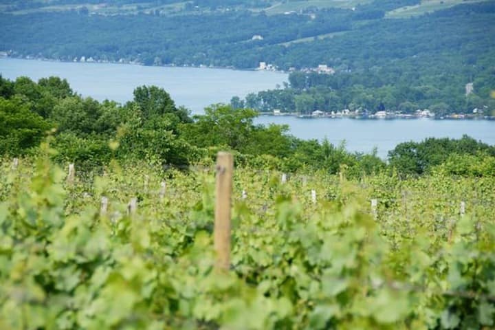 Winery
